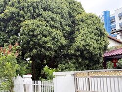Picardy Gardens (D16), Semi-Detached #532616301